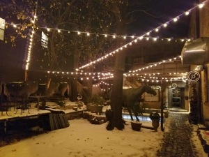 the cotton duck chicago courtyard